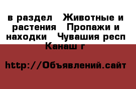  в раздел : Животные и растения » Пропажи и находки . Чувашия респ.,Канаш г.